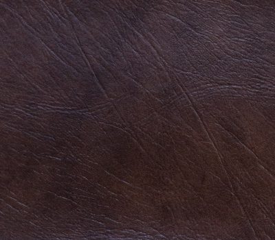 Laredo Buckskin-20